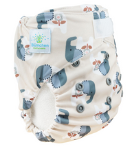 Lade das Bild in den Galerie-Viewer, Blümchen, All in One, AIO, One Size, Klett, Snap, PUL, Bambus, Baumwolle, Neugeborene,, klein geschnitten, Stoffwindel, Fränzi Kistler, Glarus Nord, Niederurnen, Natürlich Kind sein