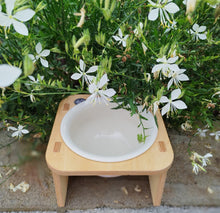 Lade das Bild in den Galerie-Viewer, Topfhalter von Wickelpack windelfrei abhalten abhaltetoepfchen