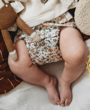 Lade das Bild in den Galerie-Viewer, Modern Cloth Nappies All in One / Pocket One Size