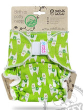 Lade das Bild in den Galerie-Viewer, Petit Lulu, Höschenwindel, braucht eine Überhose, Maxi, Nachtwindel, Natürlich Kind sein, Niederurnen, Glarus Nord, Stoffwindel, Fränzi Kistler