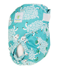 Lade das Bild in den Galerie-Viewer, bluemchen, Stoffwindel, ueberhose, natuerlich kind sein, niederurnen, glarus nord